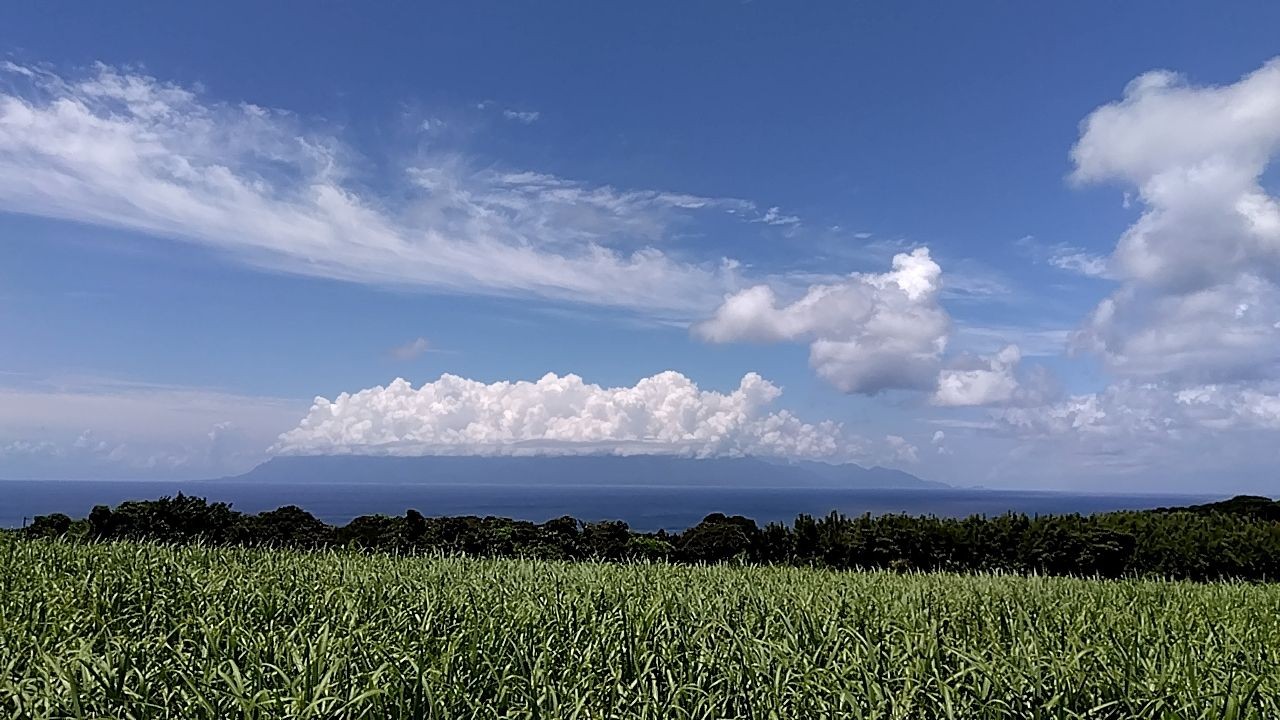 かおりちゃん商社