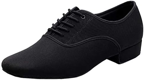 [KASVIN] 社交ダンス シューズ スタンダード ラテンダンスシューズ モダン ラテン 兼用 サルサ タンゴ ジャズ ステージ 舞台 ソシアル ボールルーム 靴 男性用