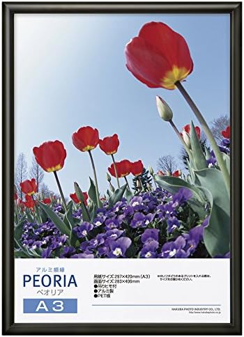 ハクバ 額縁 アルミ 額 ペオリア A3 サイズ ブラック A3 1面 アルミ FAPE-BKA3