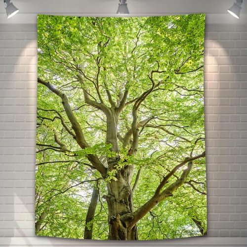U-SITU タペストリー 大木 木の下 涼しく 自然景色 オシャレ 背景 多機能 布ポスター 壁掛け 壁飾り インテリア 雰囲気転換(サイズ:幅100×丈150cm)color:GT0035-1